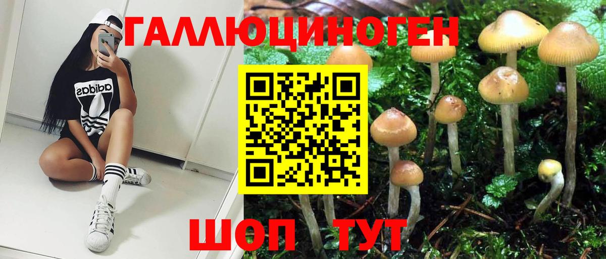 Псилоцибиновые грибы мицелий Дивногорск