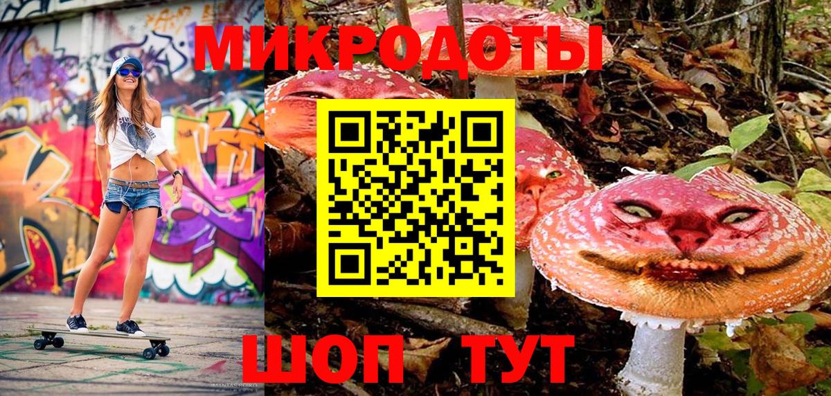 Псилоцибиновые грибы Psilocybe  Вход с VPN  Дивногорск 