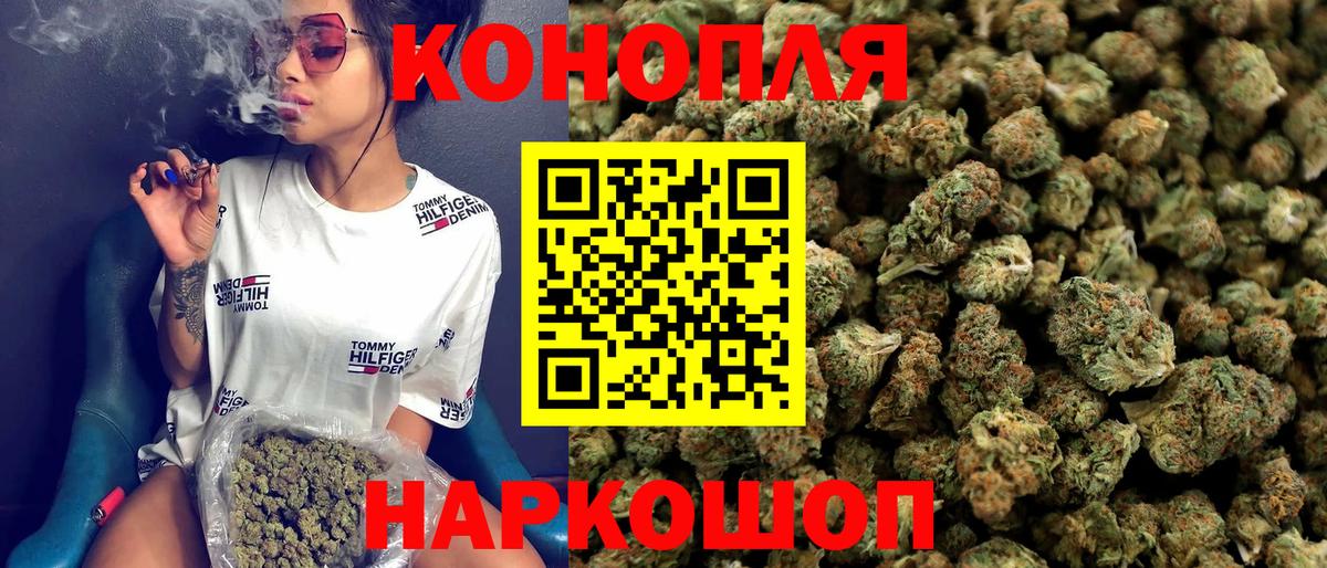 Бошки Шишки планчик  Бошки марихуана SATIVA & INDICA  Каннабис план  Бошки Шишки сатива  Дивногорск  Вход с VPN 